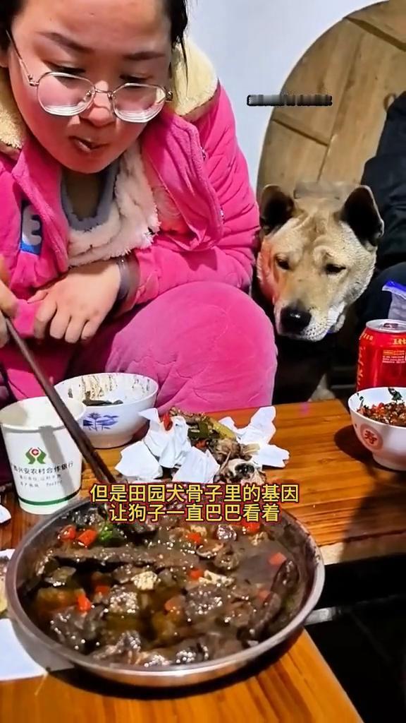 霸总田园犬小虎和管家。
今晚是狗狗最喜欢吃的醋血鸭。这货一直盯着姐姐，视线跟着姐