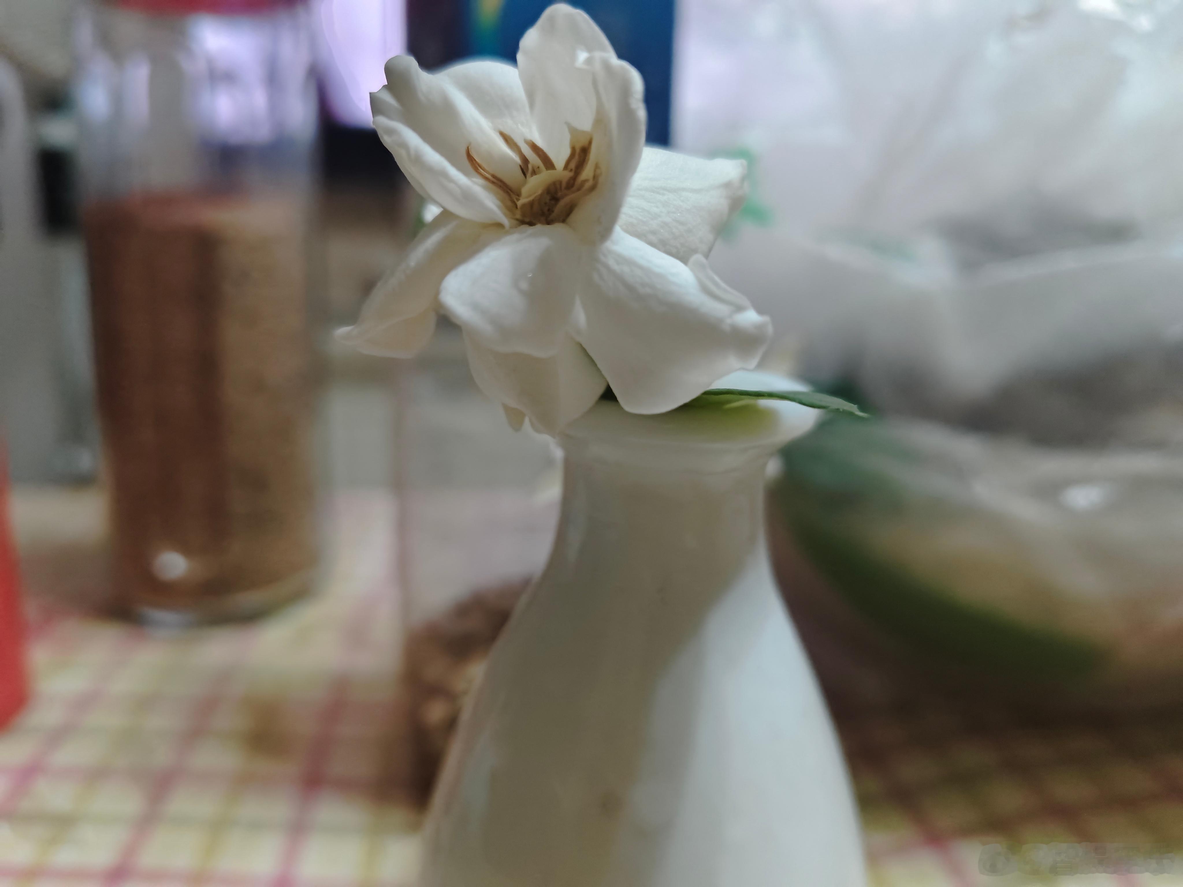 今宵不入梦，明朝弗留香。 