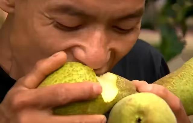 二十七载梨梦引归途，河北男子终寻失散亲情
 
河北男子柳军，二十七年来被同一个怪