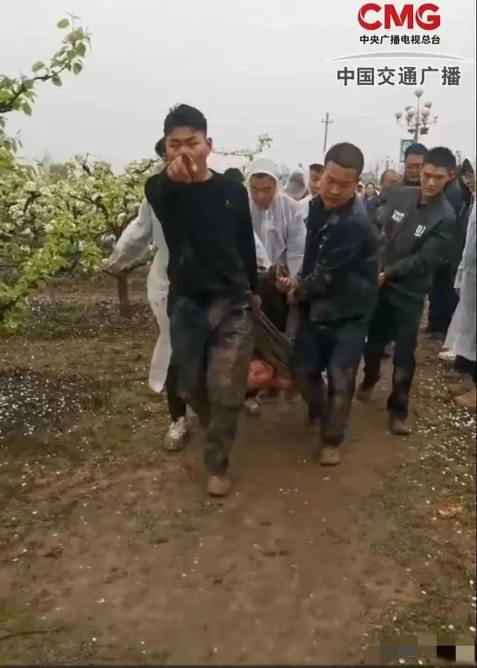 看到这个照片，非常震撼，拍的真好，可以上时代封面了吧？估计是今年的最佳照片，尤其