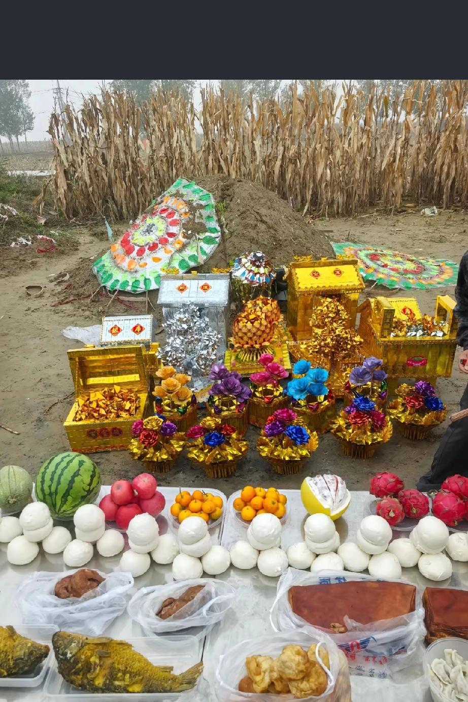 儿子带了许多贡品和纸钱去坟前给父亲烧五期，已祭奠父亲离世的35天，也许父亲生前有