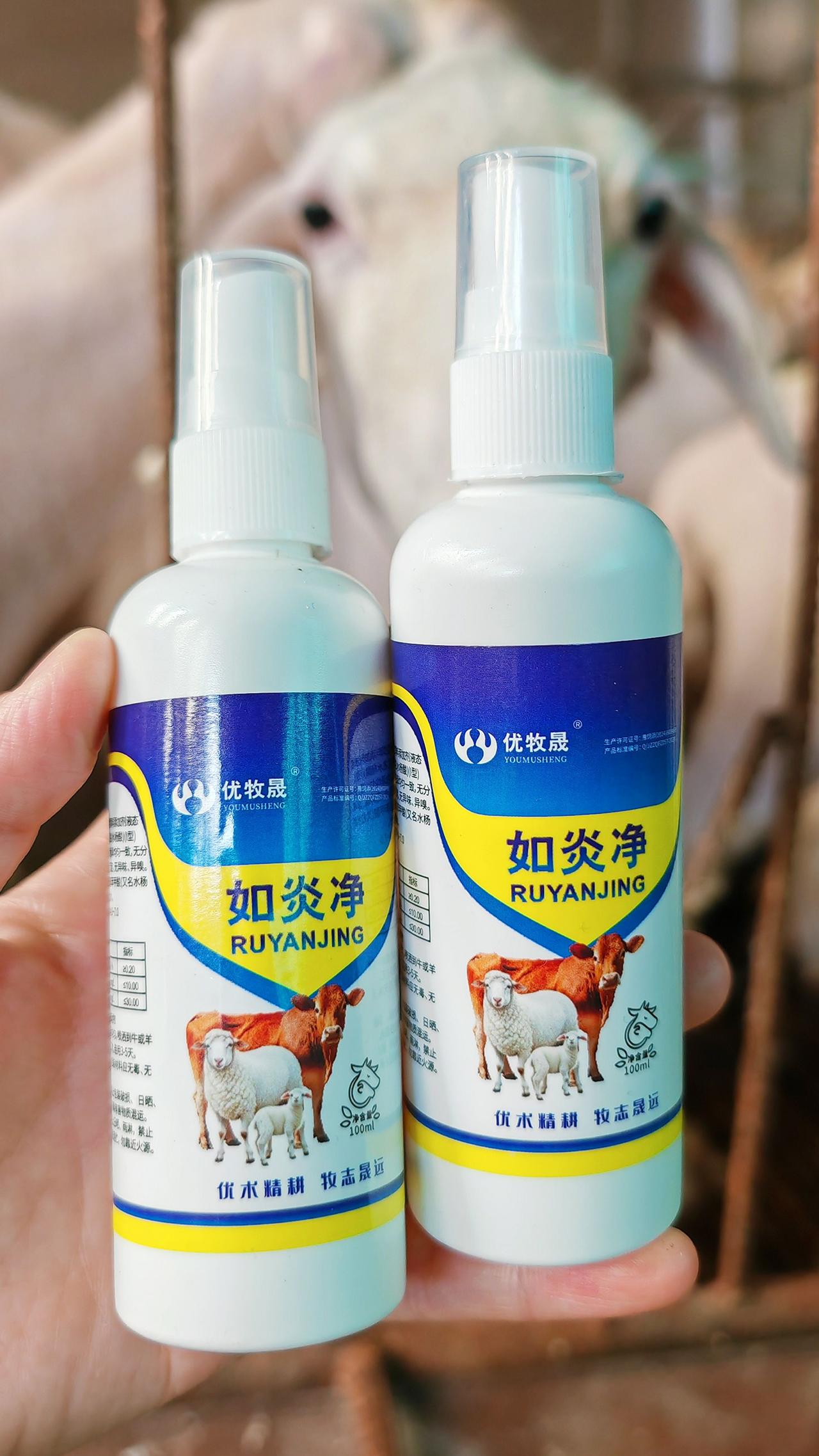 养羊人 牛羊乳房炎 养羊技术 牛羊乳房肿块