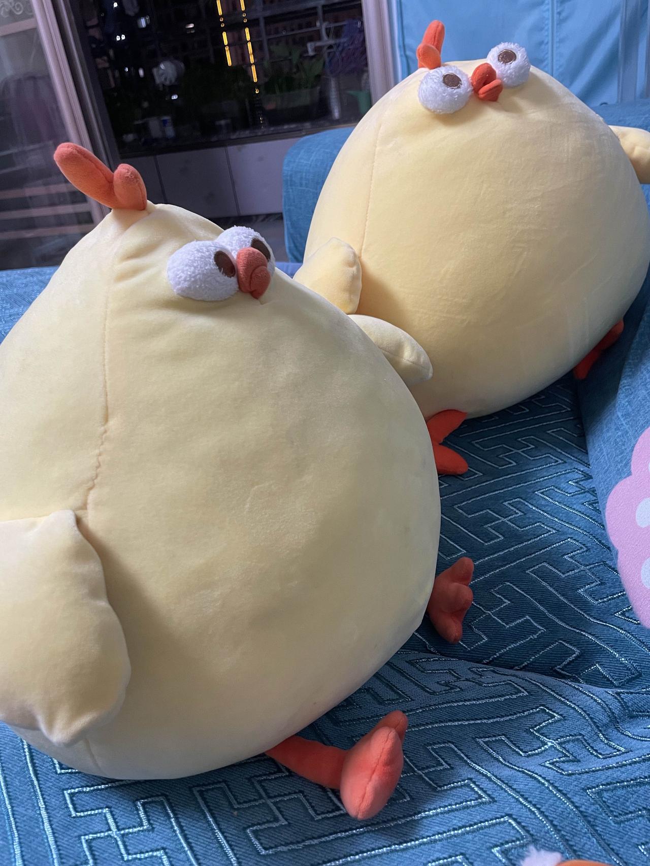 这周没有有趣的事，只有令我懊恼的事。我真真切切明白了，什么是“白眼狼”。
我是个