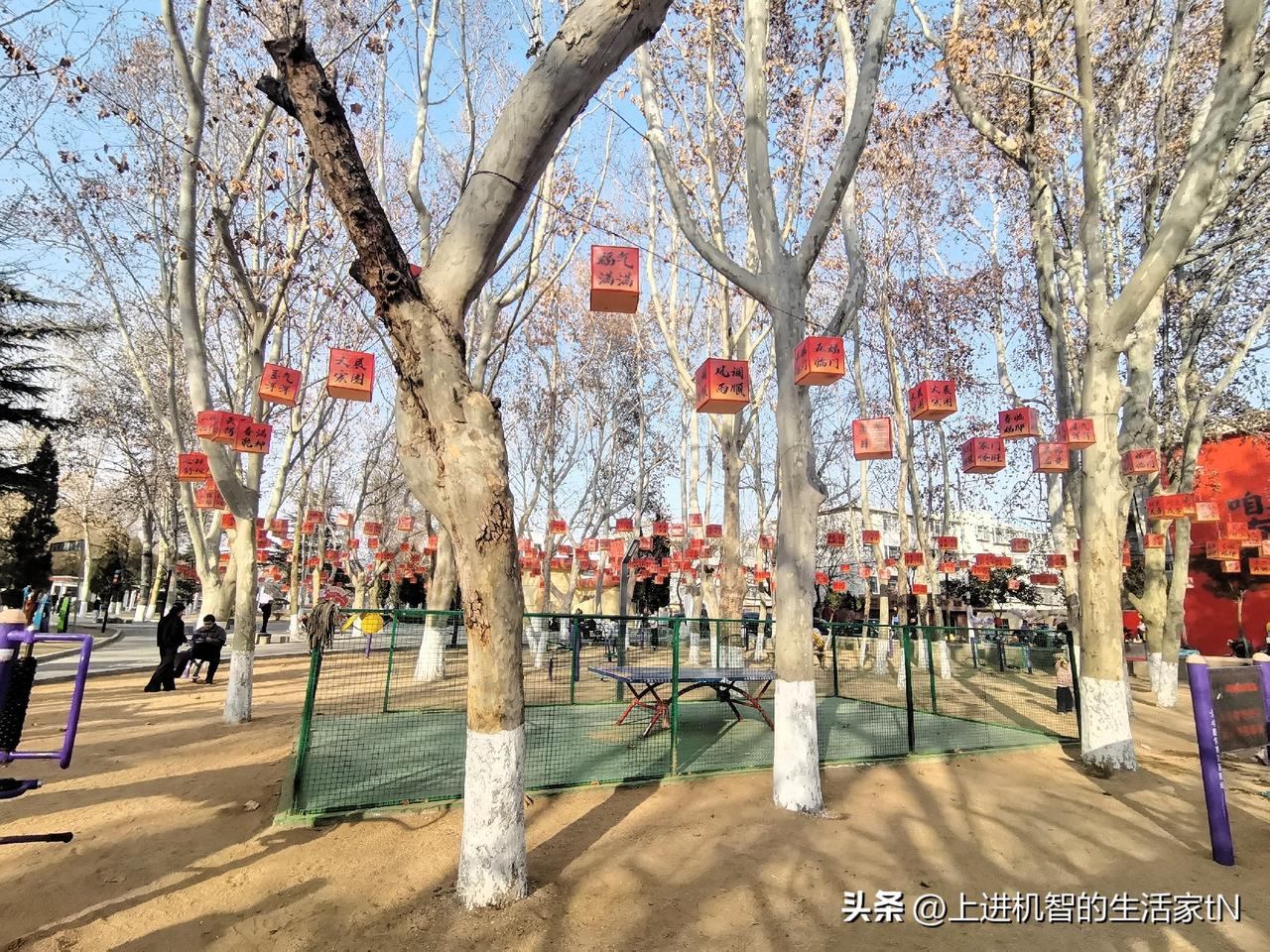 发一张图片，让我猜出你在哪里拍的回归故乡，无处不在春节的气氛，新泰市文旅部门也是