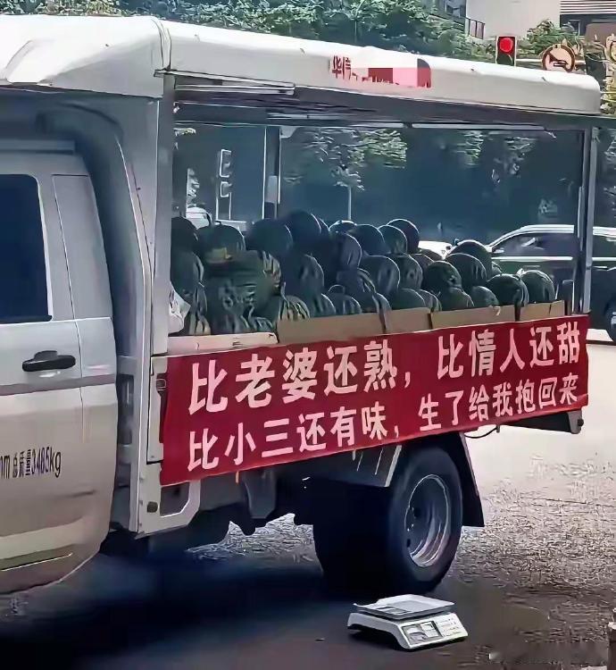 不得不佩服卖个瓜也能让人欲罢不能 
