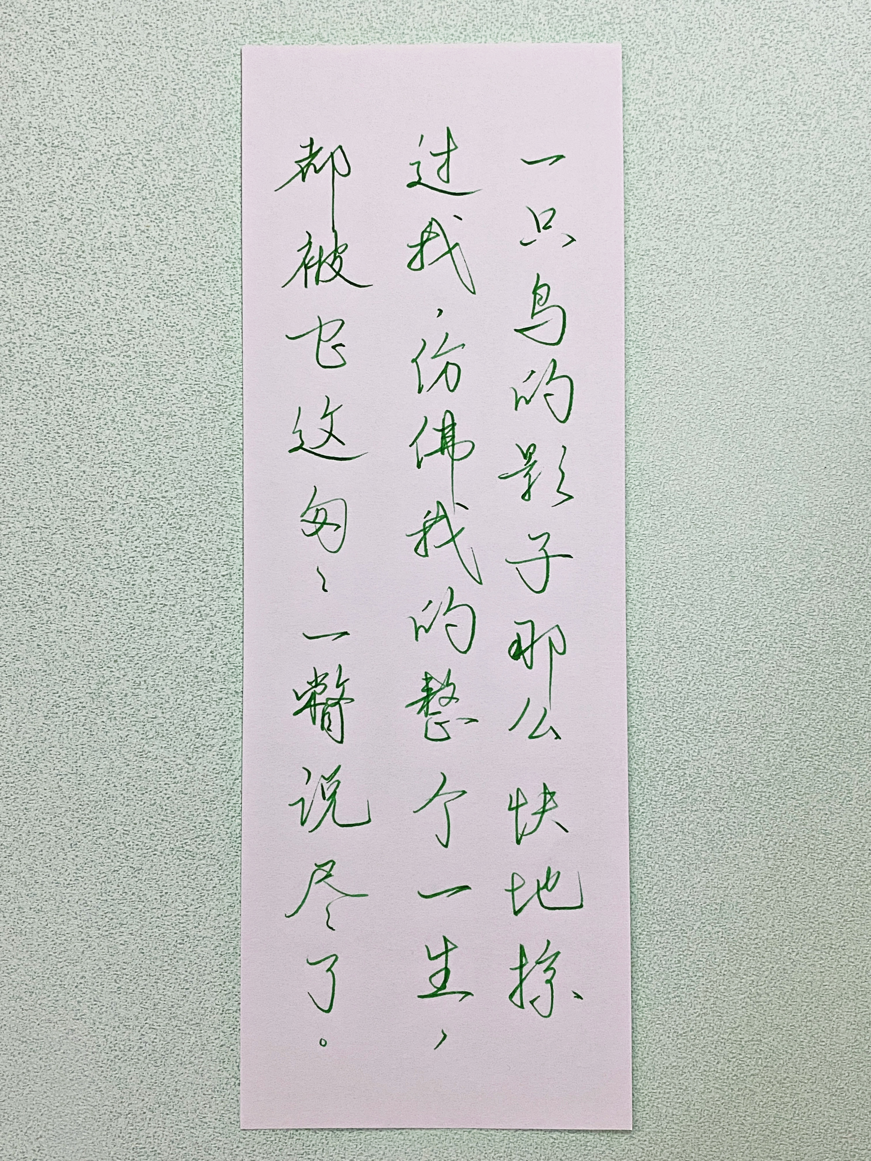 今日作业（2026.8.9）一只鸟的影子那么快地掠过我，仿佛我的整个一生，都被它