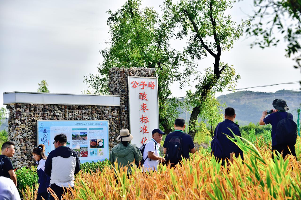 扁鹊文化节寻迹太行｜公子峪，太行山间道地邢枣仁的传承之地。9月16日，第五届扁鹊