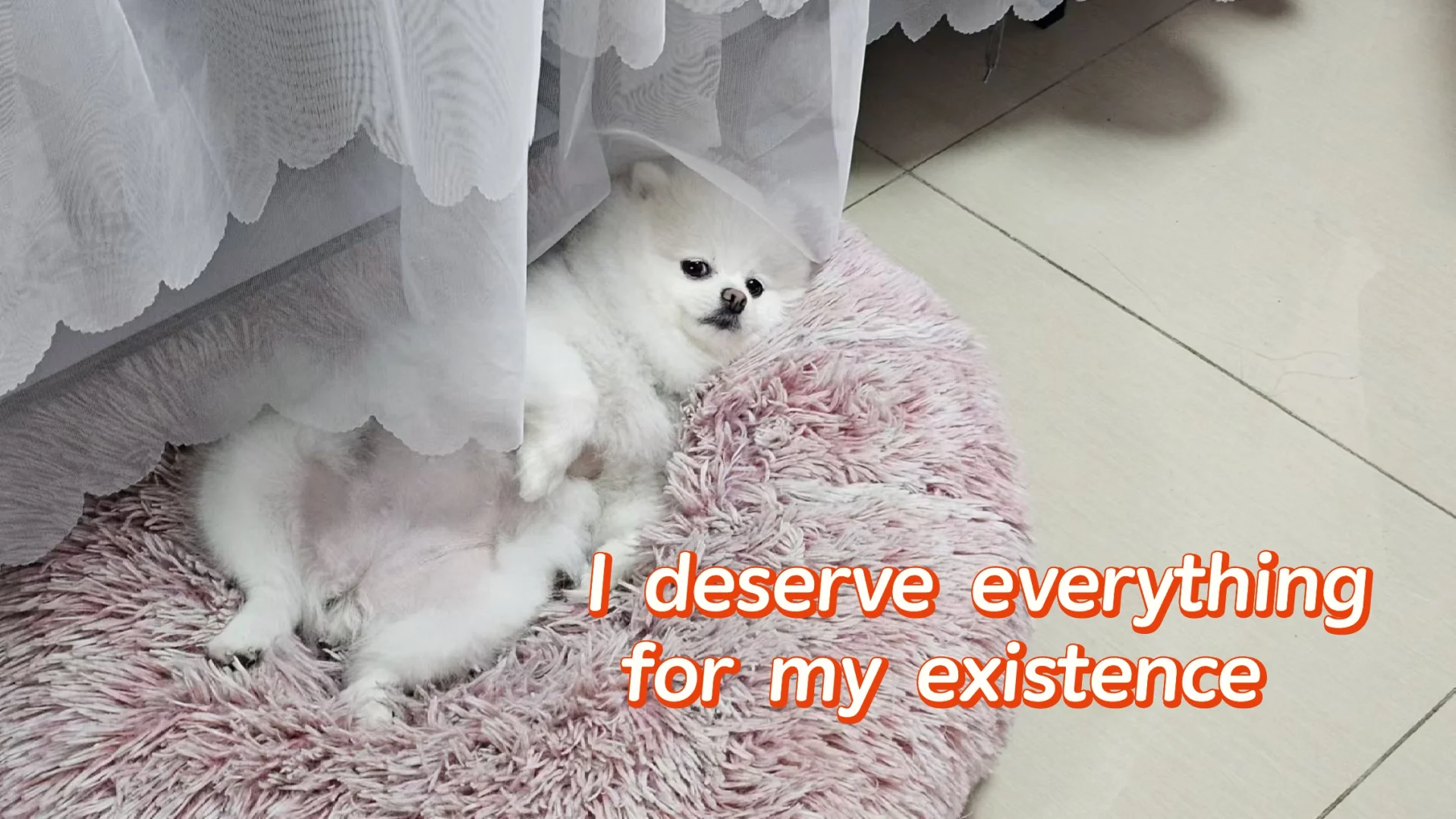 当老公在做家务时，she is like