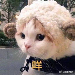 网友和郑伟一个敢说一个敢接被治愈到！从前不敢想的懒人快乐、浴室沉浸式享受，现在被