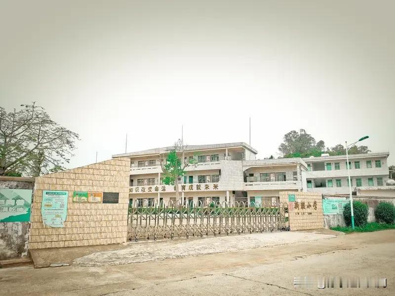 湖南江永允山中心小学这事儿真让人无语。开学时校长说学生用不用新餐具自愿，结果孩子