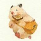 小岭热看娱乐