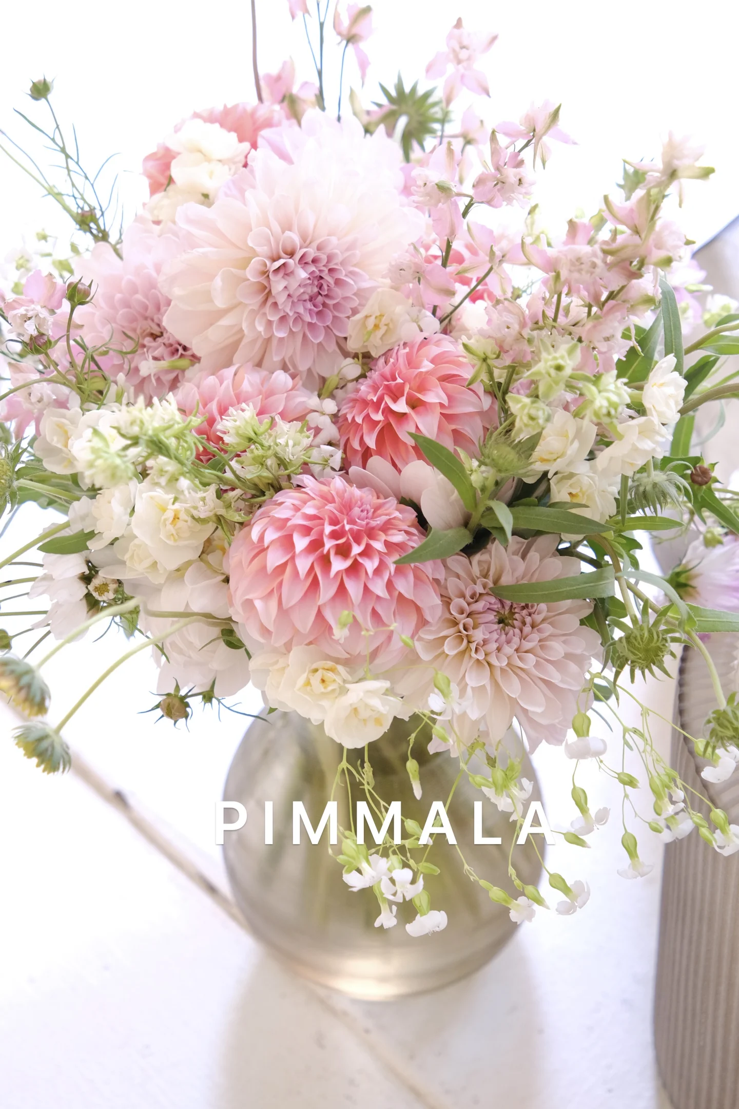PIMMALA｜傍晚的大丽花