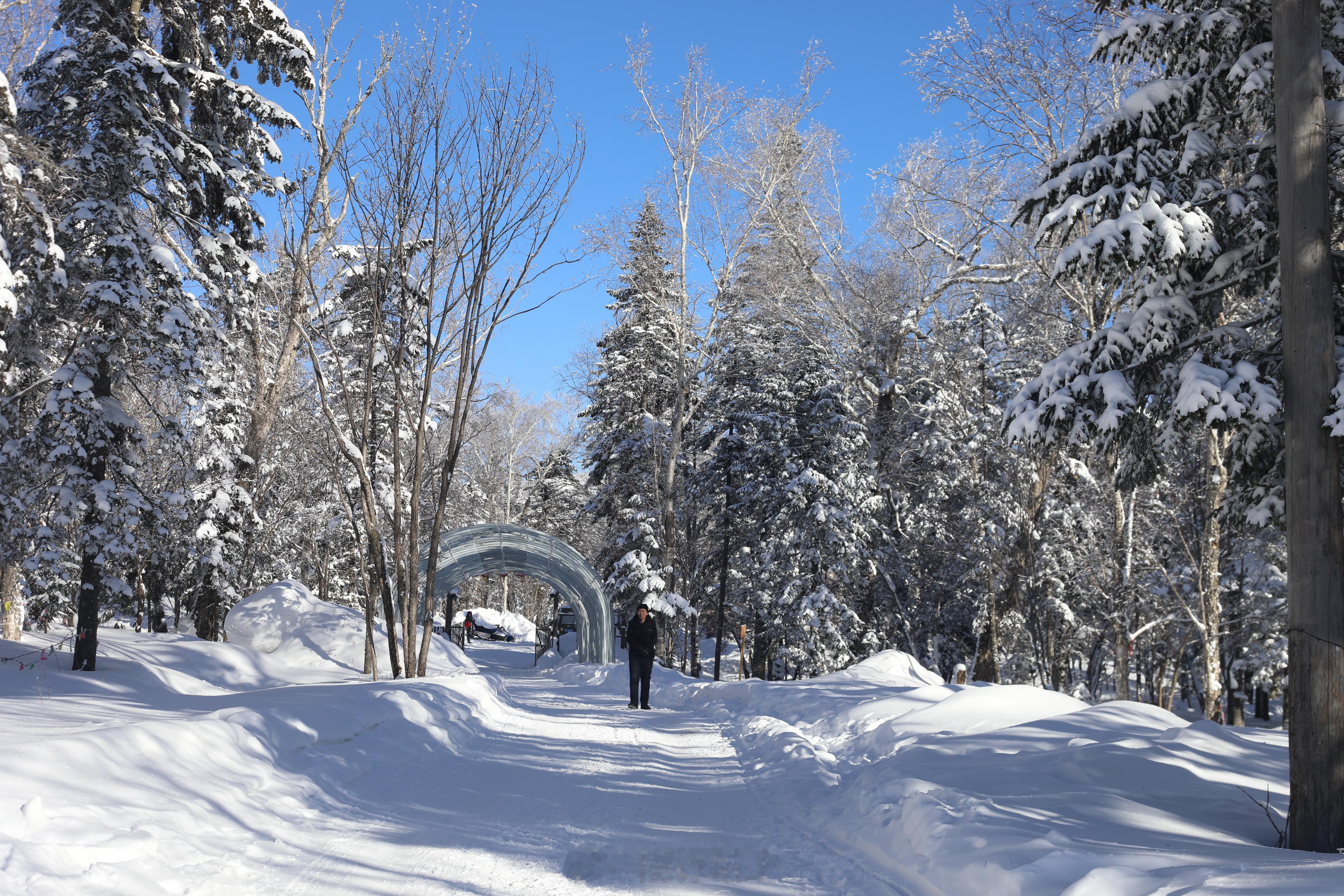 冬日胜景  冰雪旅游 🚀 嗨小伙伴们，冬日不宅家，咱们黑龙江见！想要踏入一个真
