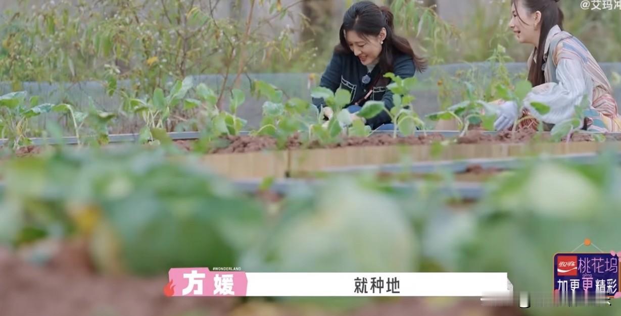 郭富城老婆方媛说：

“我小时候特别喜欢种地，还有养各种动物，小时候我养过猪，我