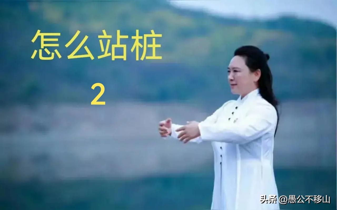 站桩养生好处
 
       站桩是温和高效的静力健身养生功法，无需器械，居家