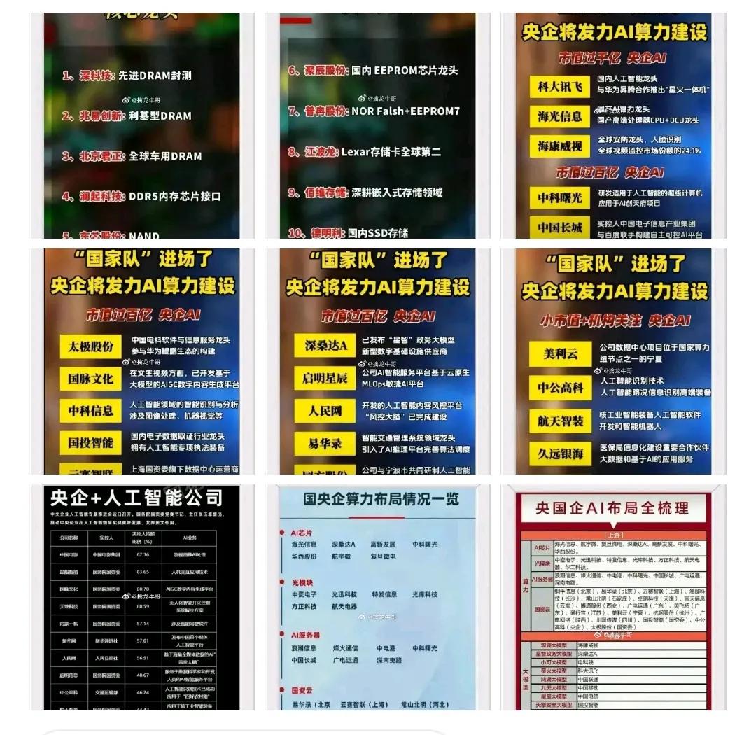 近期，存储芯片，央企AI概念股在市场上受到关注，相关龙头股整理如下：

一，十大