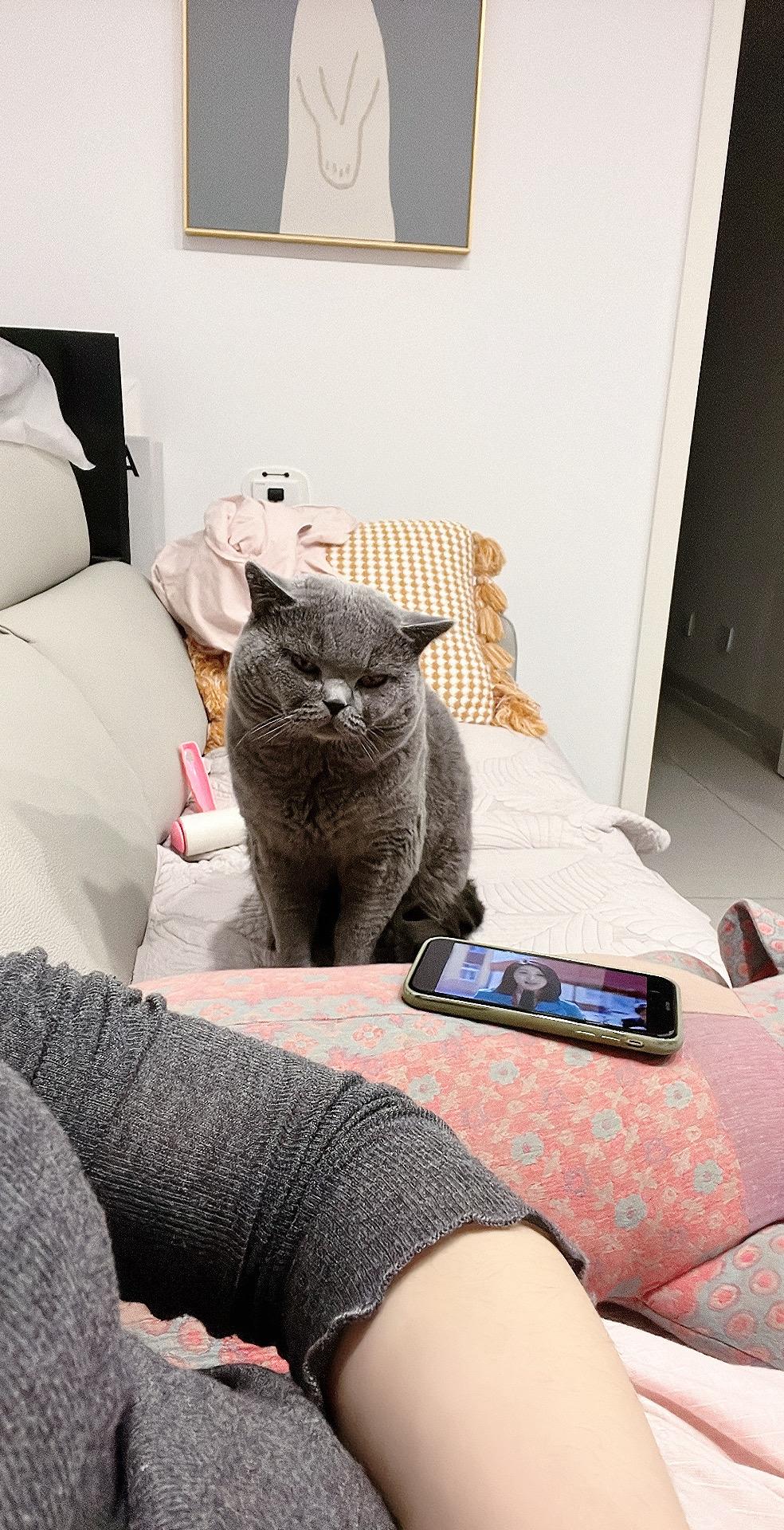 好想谈恋爱哦 越想越难耐