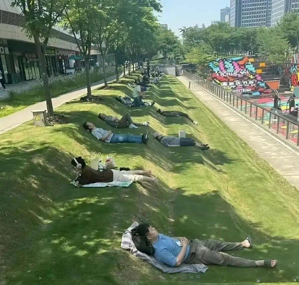 这个草坪的设计师真是天才，打个盹儿不误事 