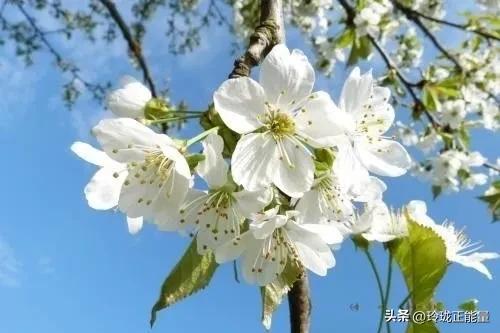 心理学发现，“比好好吃饭和睡觉更被低估的抗抑郁动作，是好好洗澡。”
 
很多人听