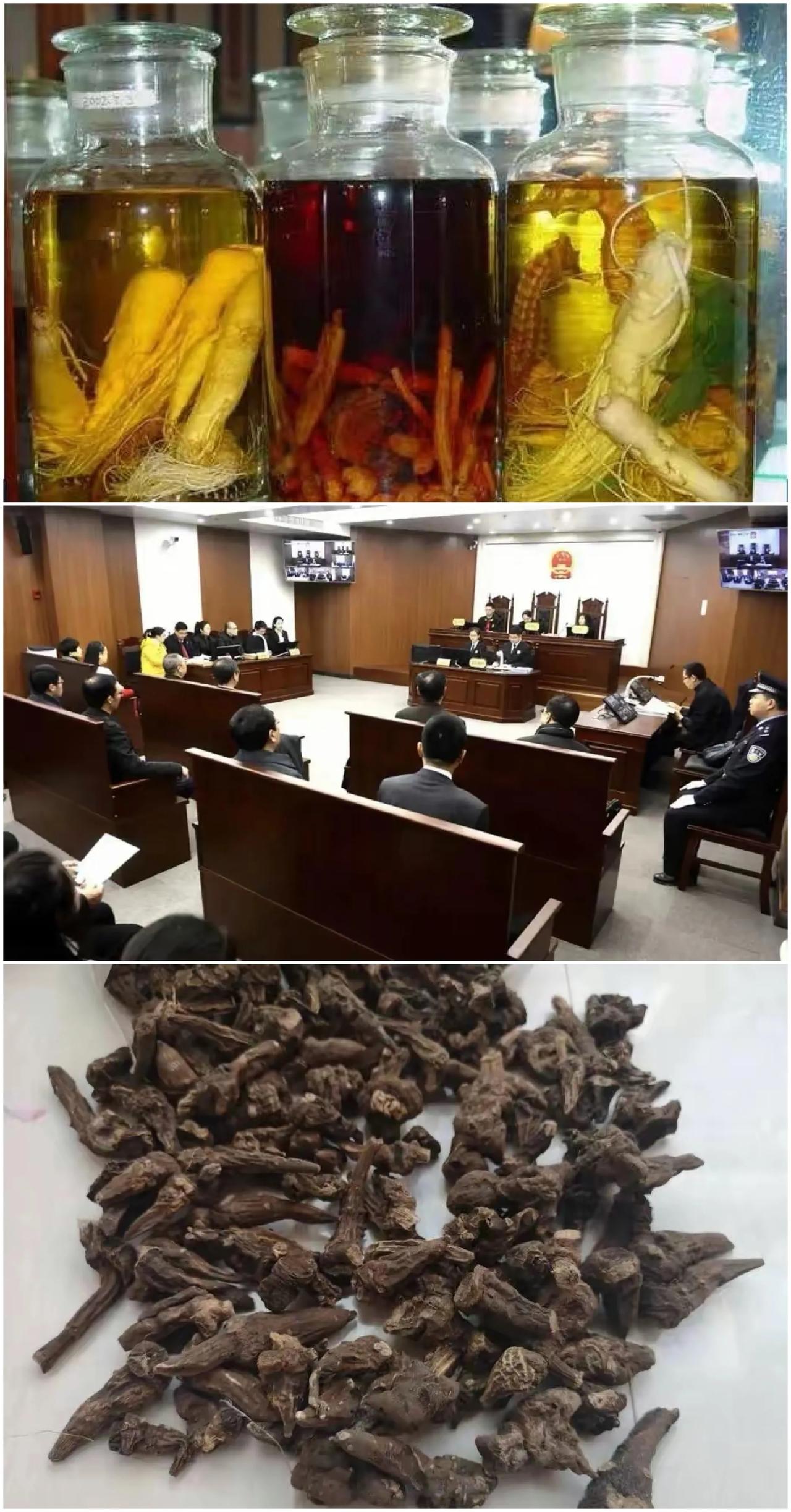 天理何在？小偷偷药自服丧命，家属反告医生索赔百万！网友怒斥：家中晒药也需警示牌？