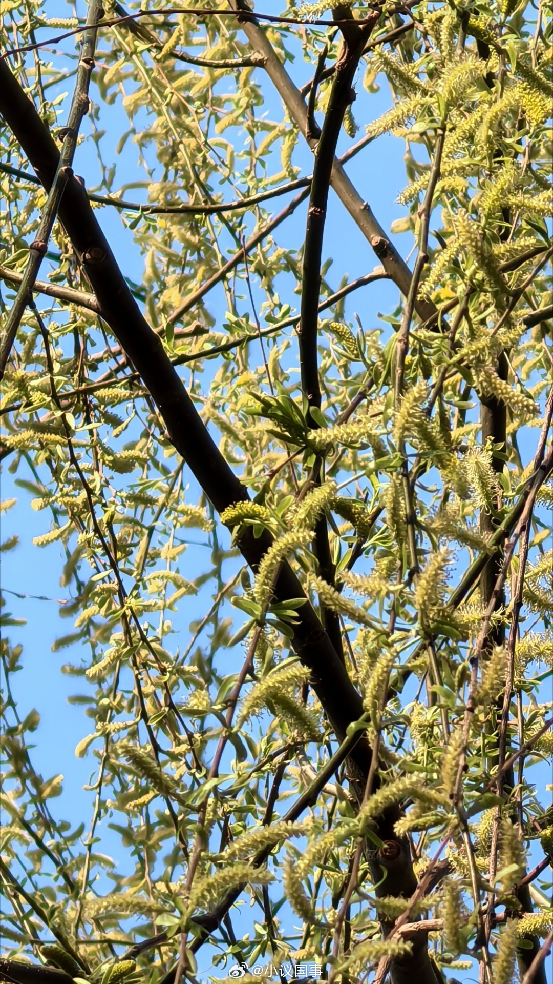 马克思:每个人不是把别人看做自己自由的实现，而是看做自己自由的限制。陈年夜话