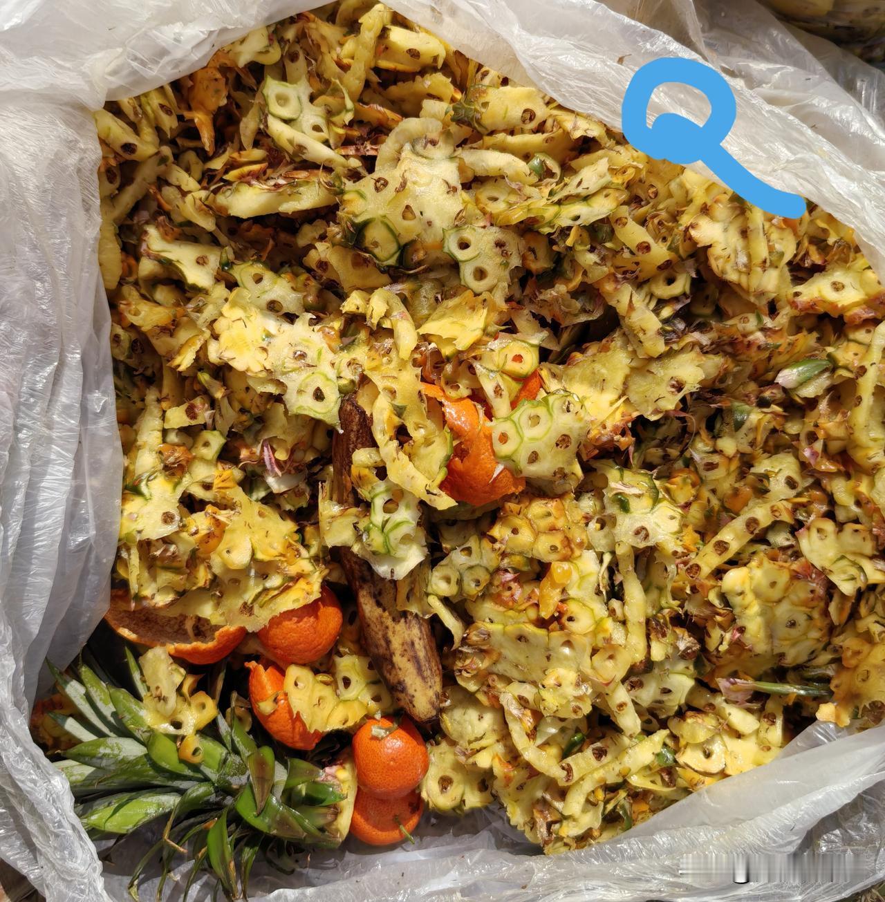 城市可以堆积农家肥吗?可以。但你得会堆。城中村，城市边边角角种地，堆肥最怕有异味