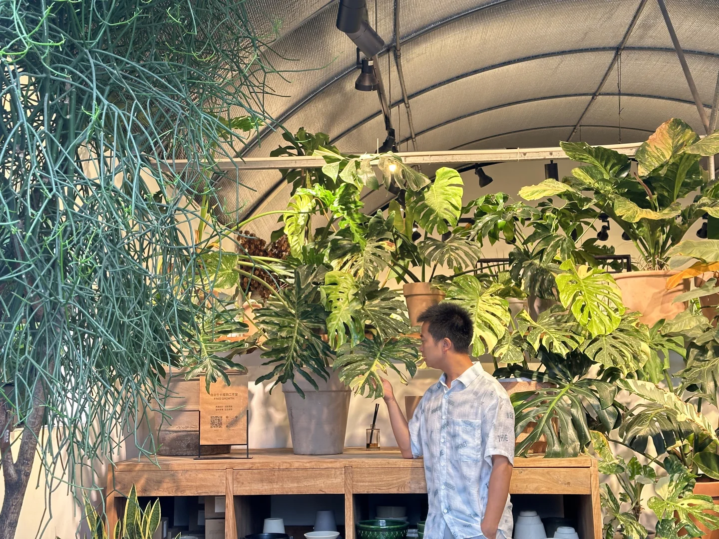深圳｜植物店打卡 深港花卉中心