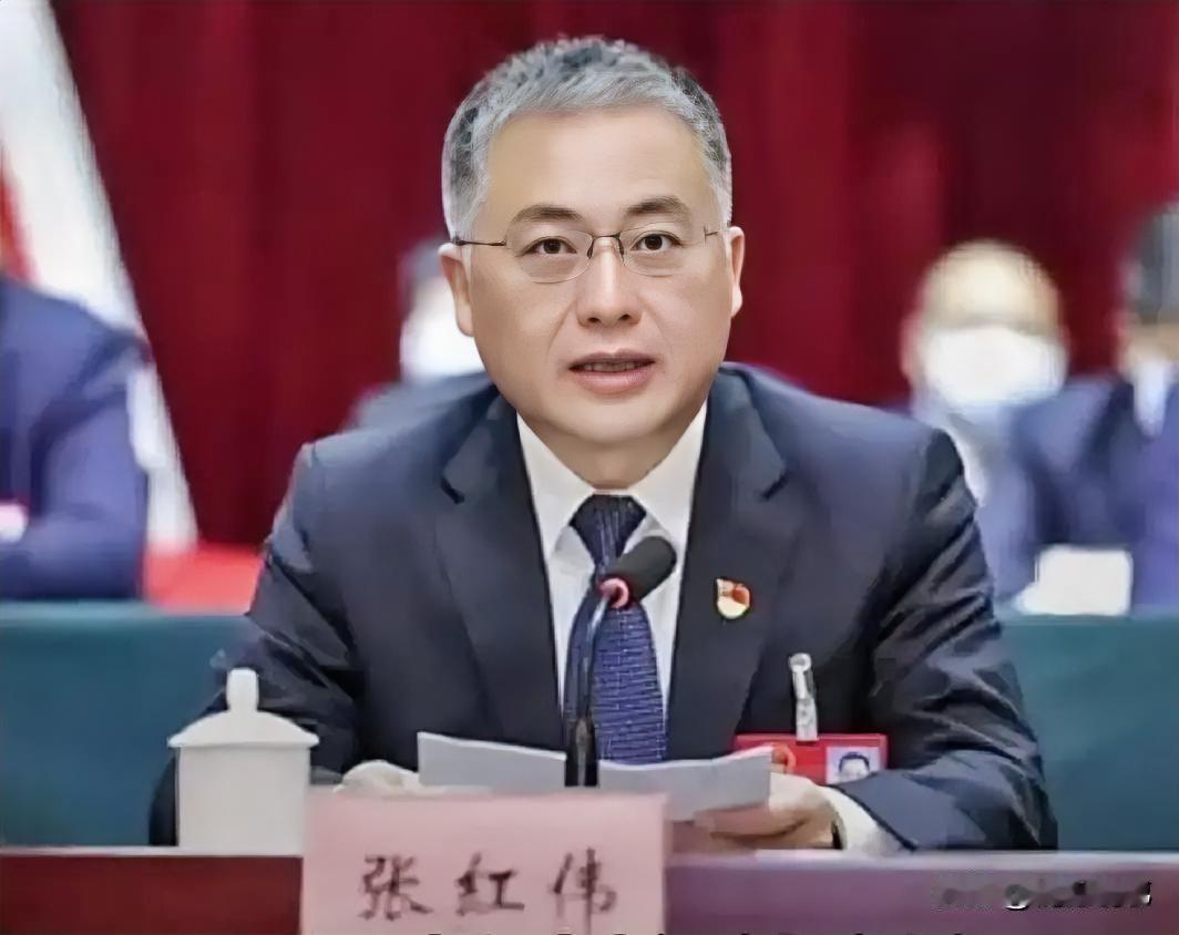 这事儿，从通报到朋友圈刷屏，也就半天功夫。2026年8月14号，开封常务副市长张