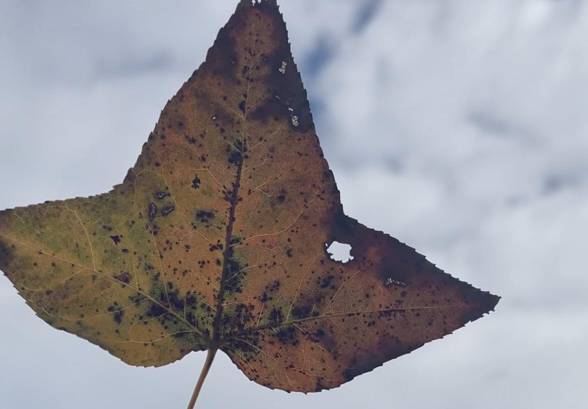 有一个爱你的人