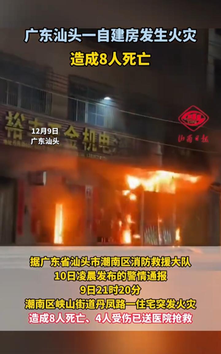 太悲剧了，四代同堂，12口人，一夜之间，堪称覆灭，这一大家子人太惨了，还好店长嫂