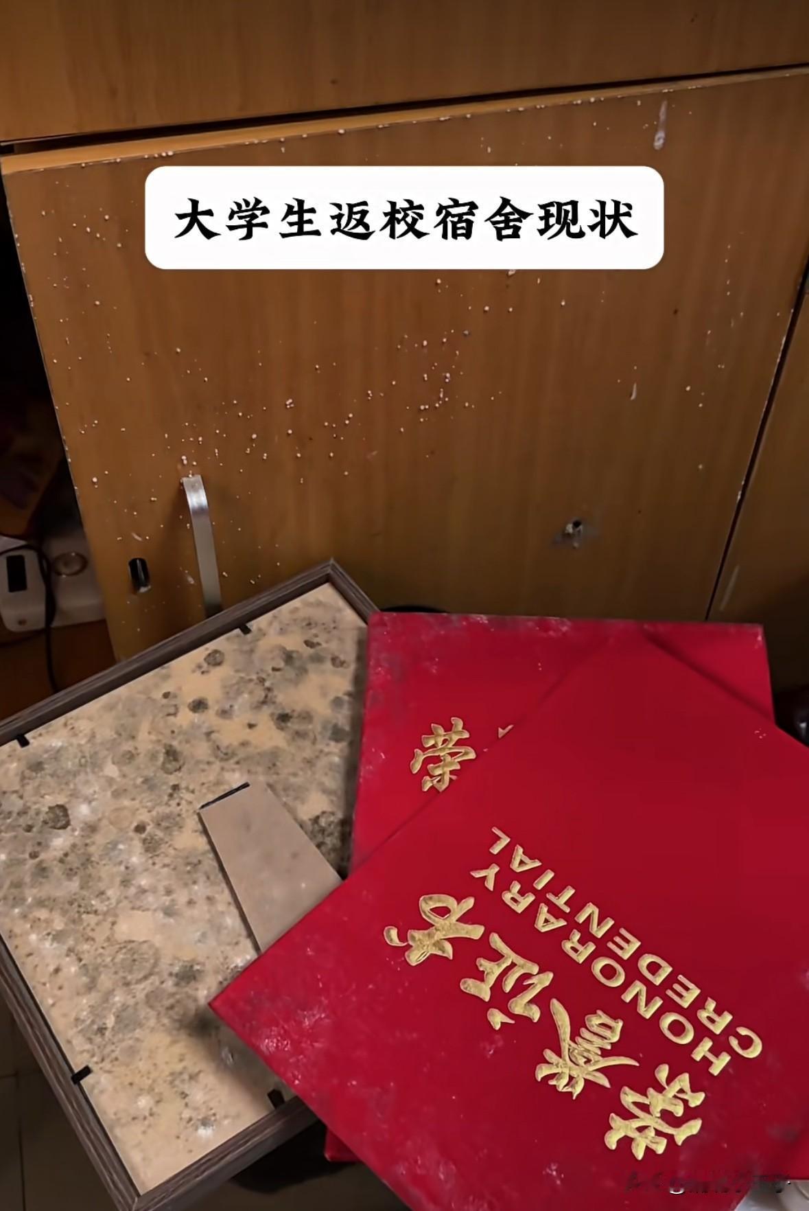 导员我不舒服，我想回家[捂脸]
河南一大学生暑假结束后返回学校，进到寝室的一瞬间
