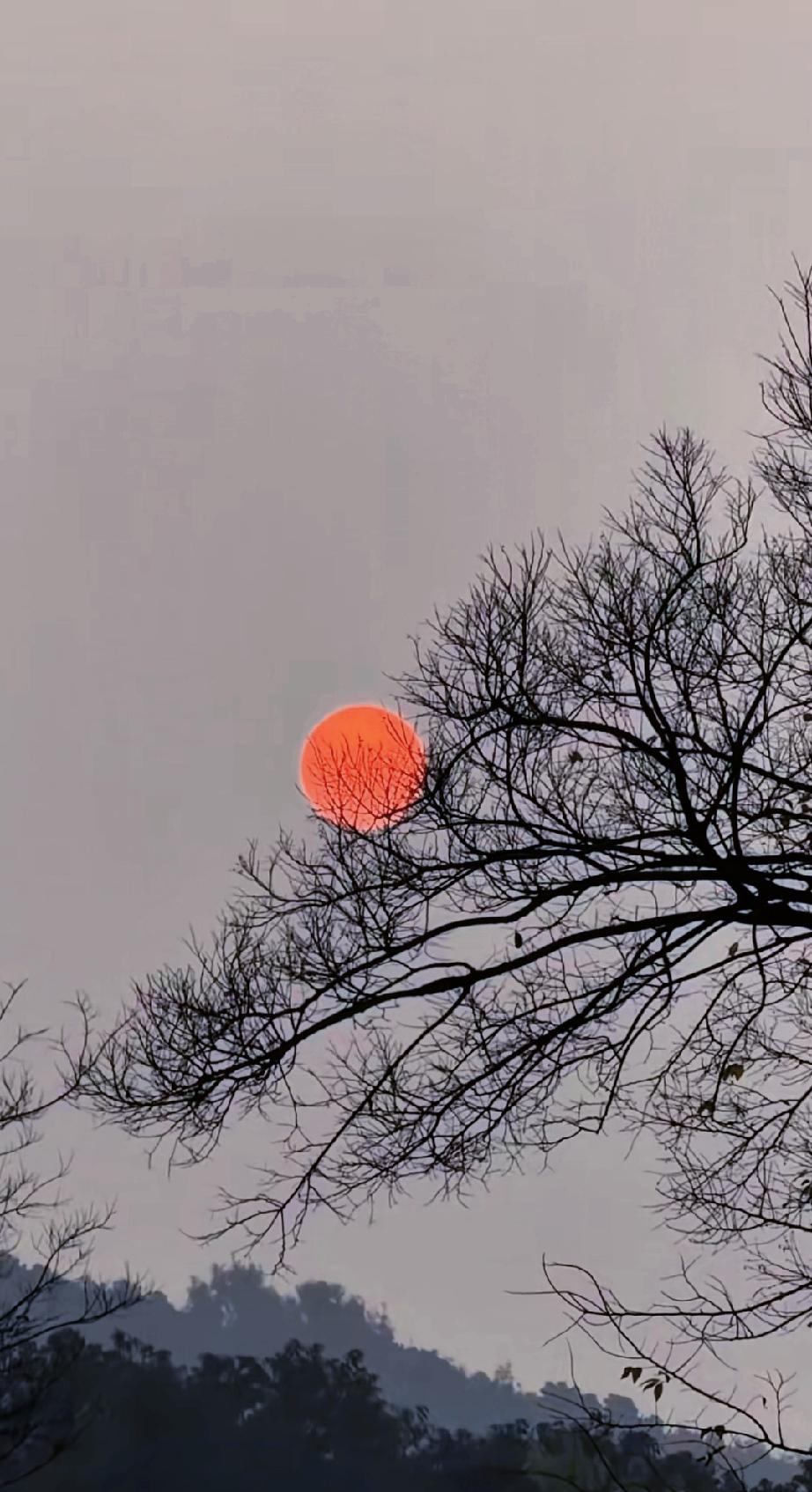 有没有一种苍凉萧条寂静寒冷孤独悲凉末世的感觉
