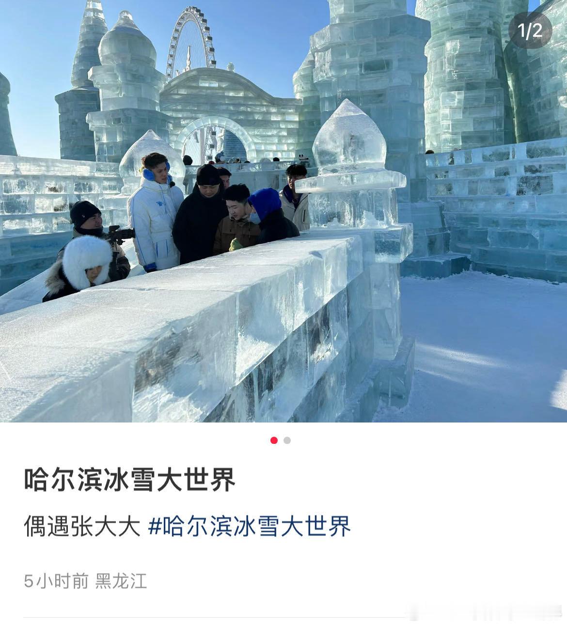 #张大大到哈尔滨游玩# 张大大哈尔滨新晋小土豆景点，咱就是说合照的时候，张大大居