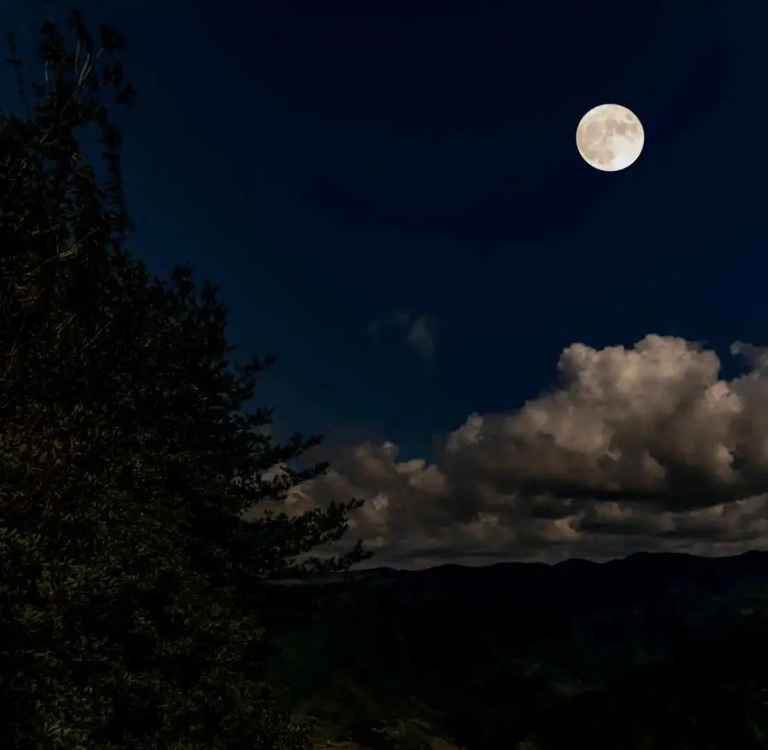 明月几时有，把酒问青天！#月亮🌙满月# #中秋月亮看不见# #集朋友圈明月# 