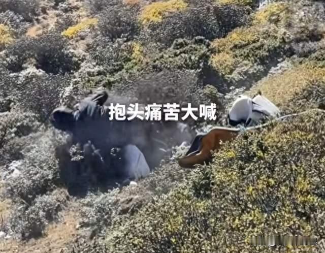 太吓人！稻城亚丁一男子突发高反，行为失控，抱头痛苦大喊