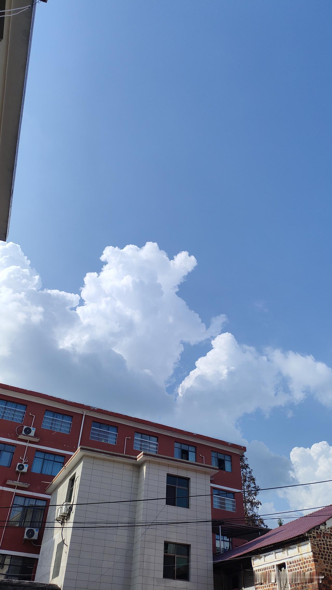 对付“学习式摸鱼”，堵不如疏。用规则代替管控，用陪伴代替指责，才能让孩子从“被动