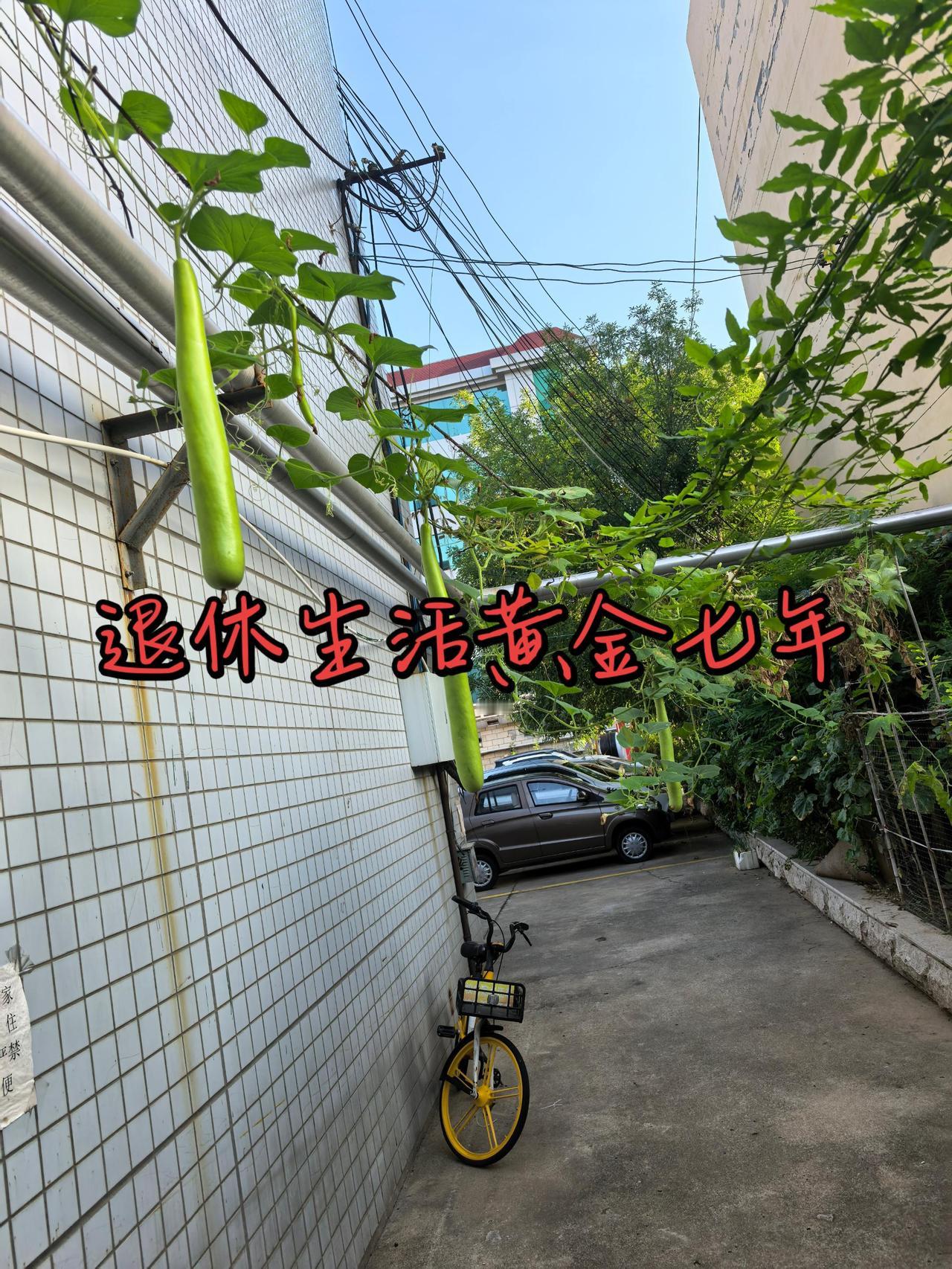 人退休后只有七年黄金时间，往后出行往往心有余而力不足了