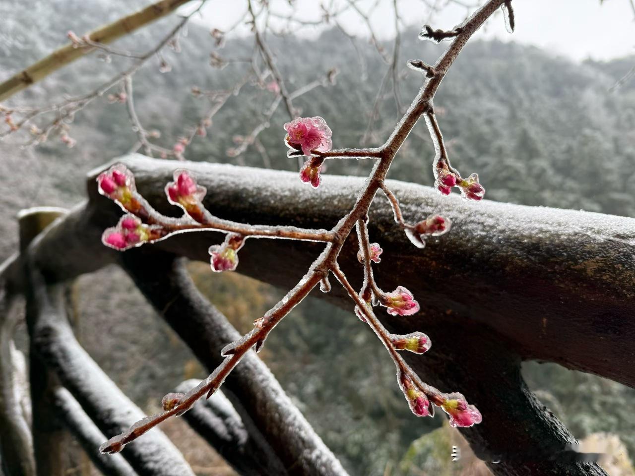 儿在教室，我在办公室，这么冷的天一定很冻，而且教室里又没空调，整天坐着手脚肯定冻