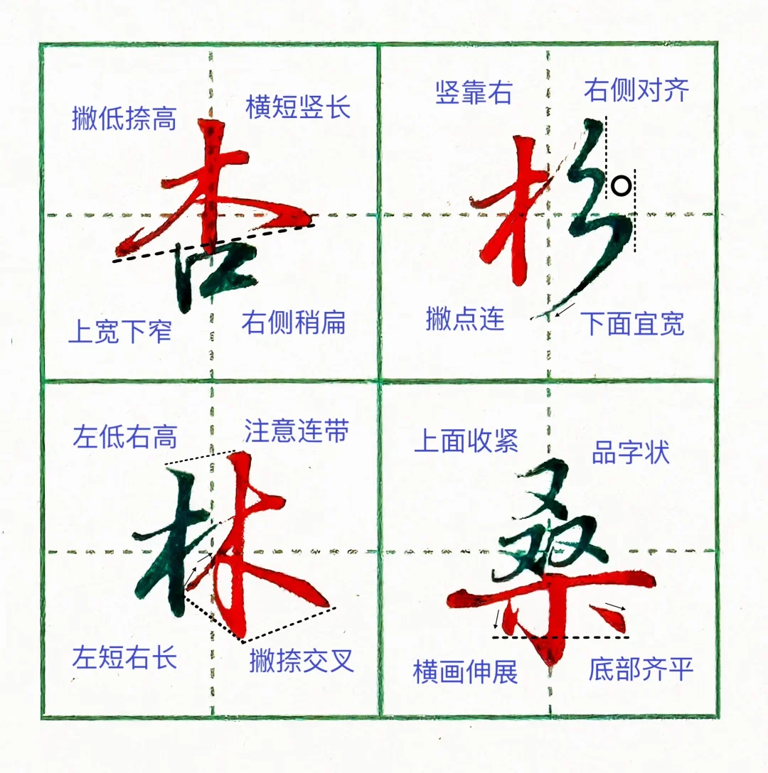 硬笔行楷|“木”字在不同位置的写法‼️