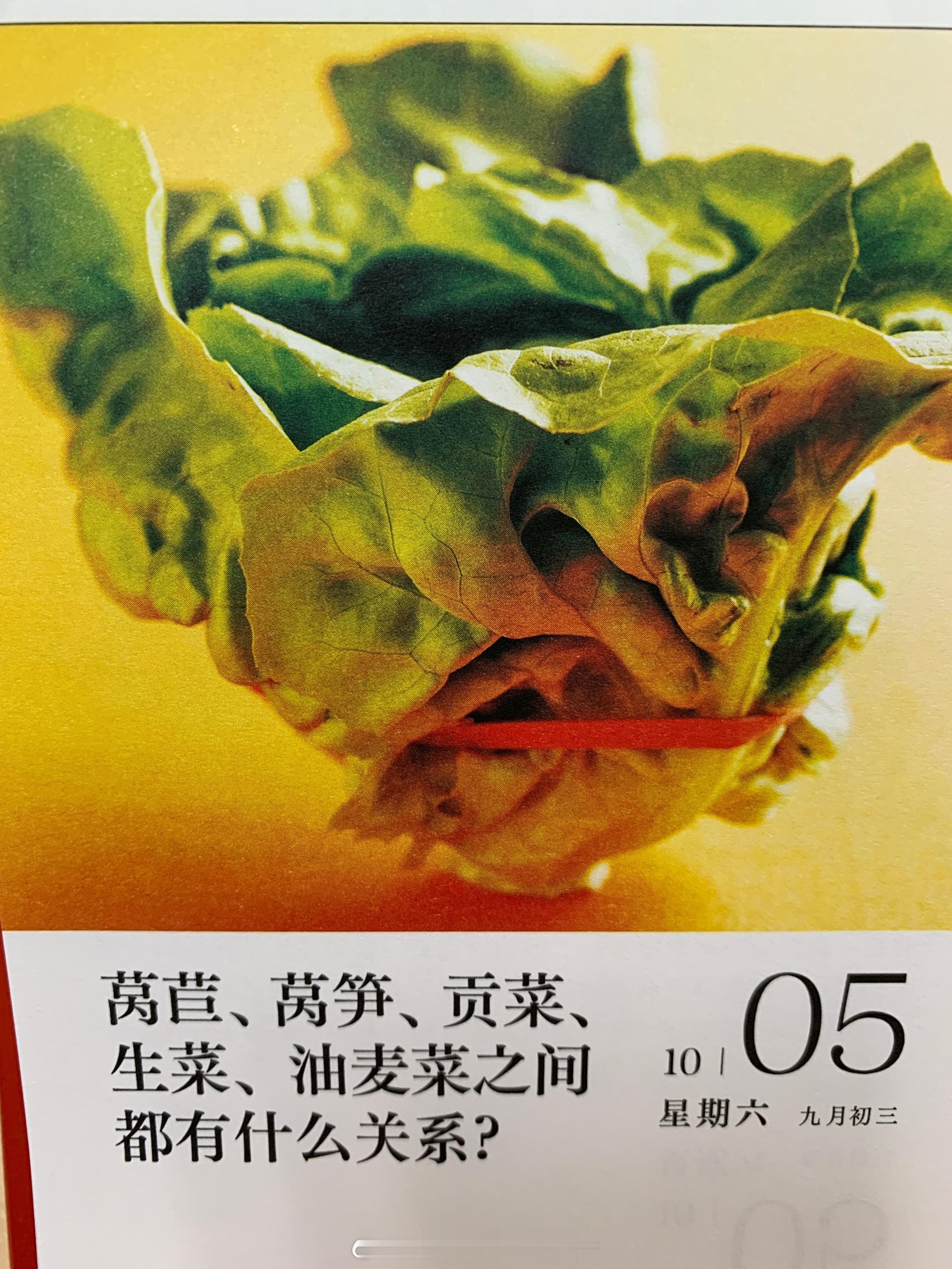 早安朋友们～ ​​​