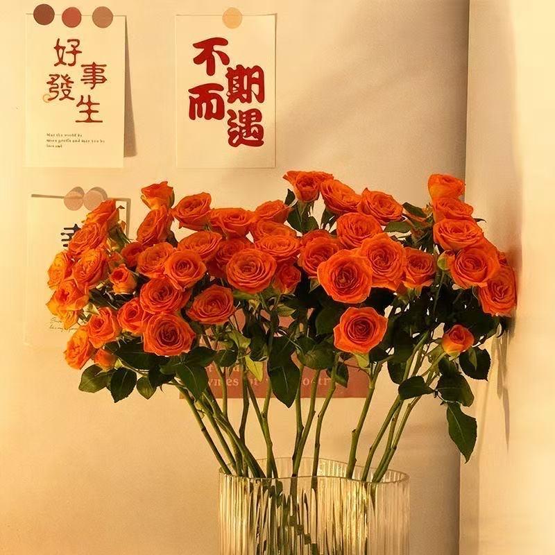 45岁女地产总监失业摆摊还房贷买房就是一个套！很多人其实还不明白。房地产是所有基