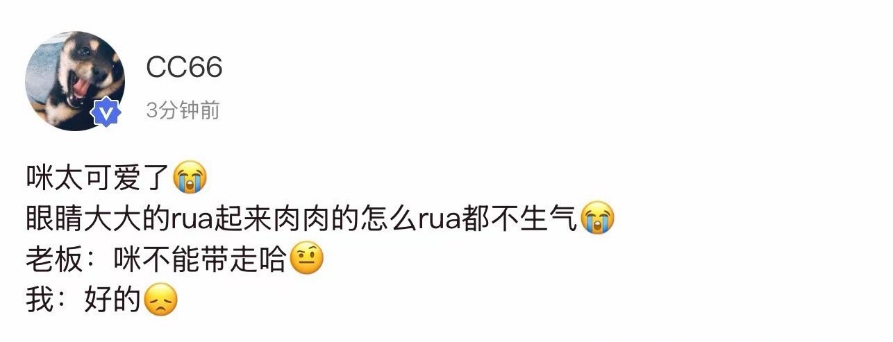 马嘉祺 马嘉祺觉得我们像小猫 所以他其实是在夸我们可爱想rua我们☺️ 