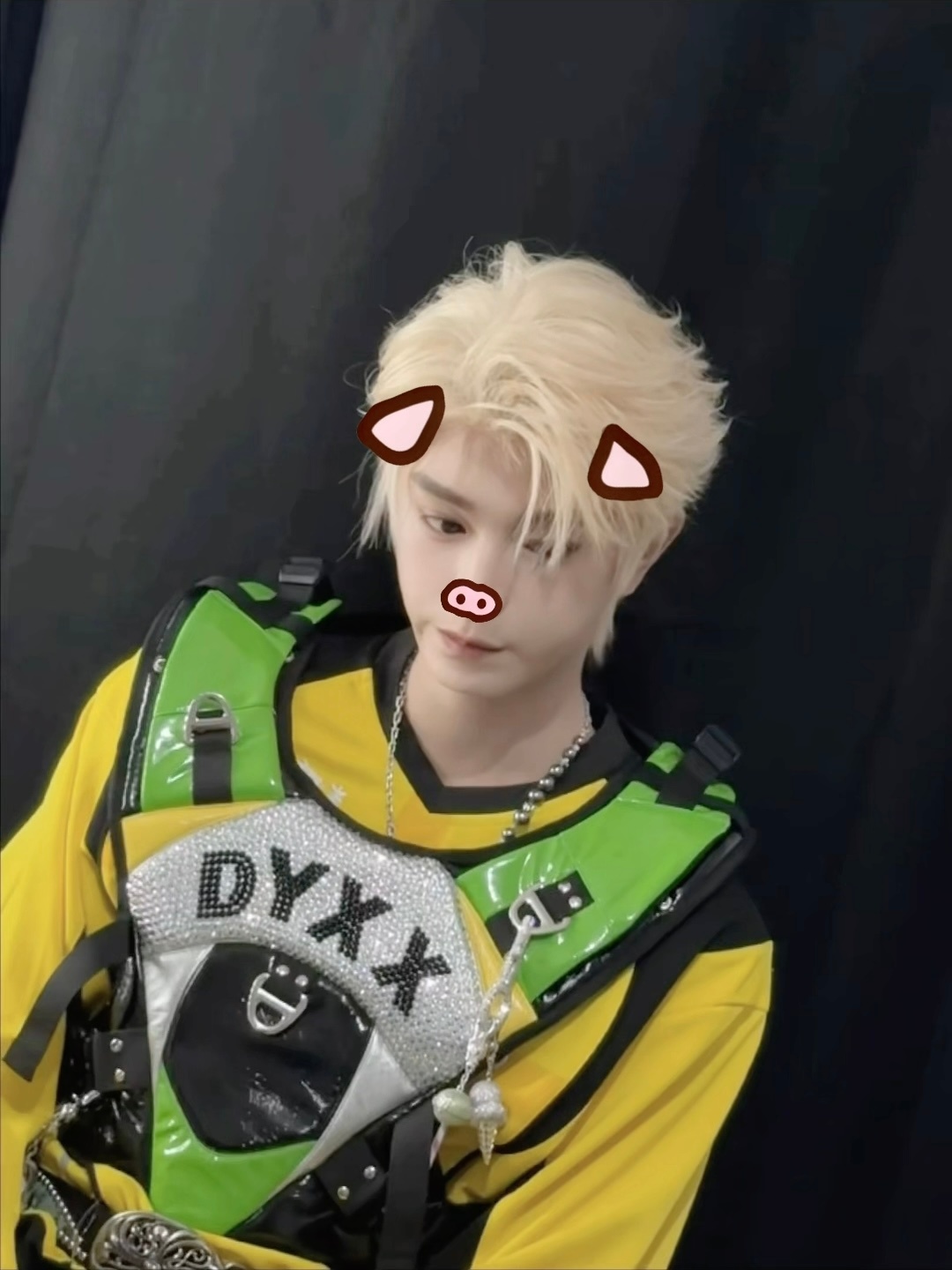力挺猪塑！ ​​​