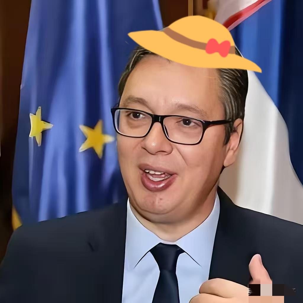 塞尔维亚传来好消息
 5月7日，塞尔维亚总统武契奇亲自站台，在贝尔格莱德与中国山