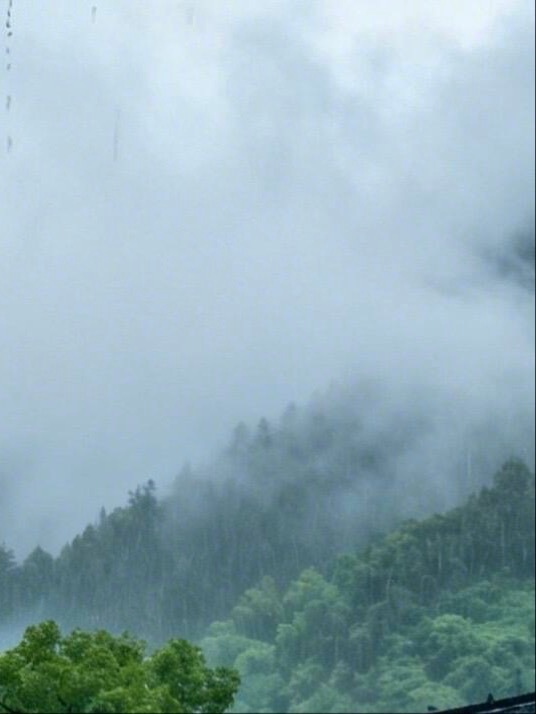 1000在每一个黎明破晓，每一个黄昏降临之际，坚守那份善良的初心，让 每日一善 