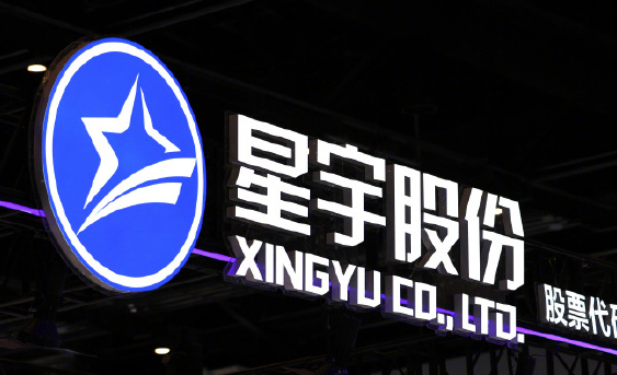 星宇连续多份年报出现基础文本错误星宇股份年报把母子写成姐弟 近日，有关星宇股份年