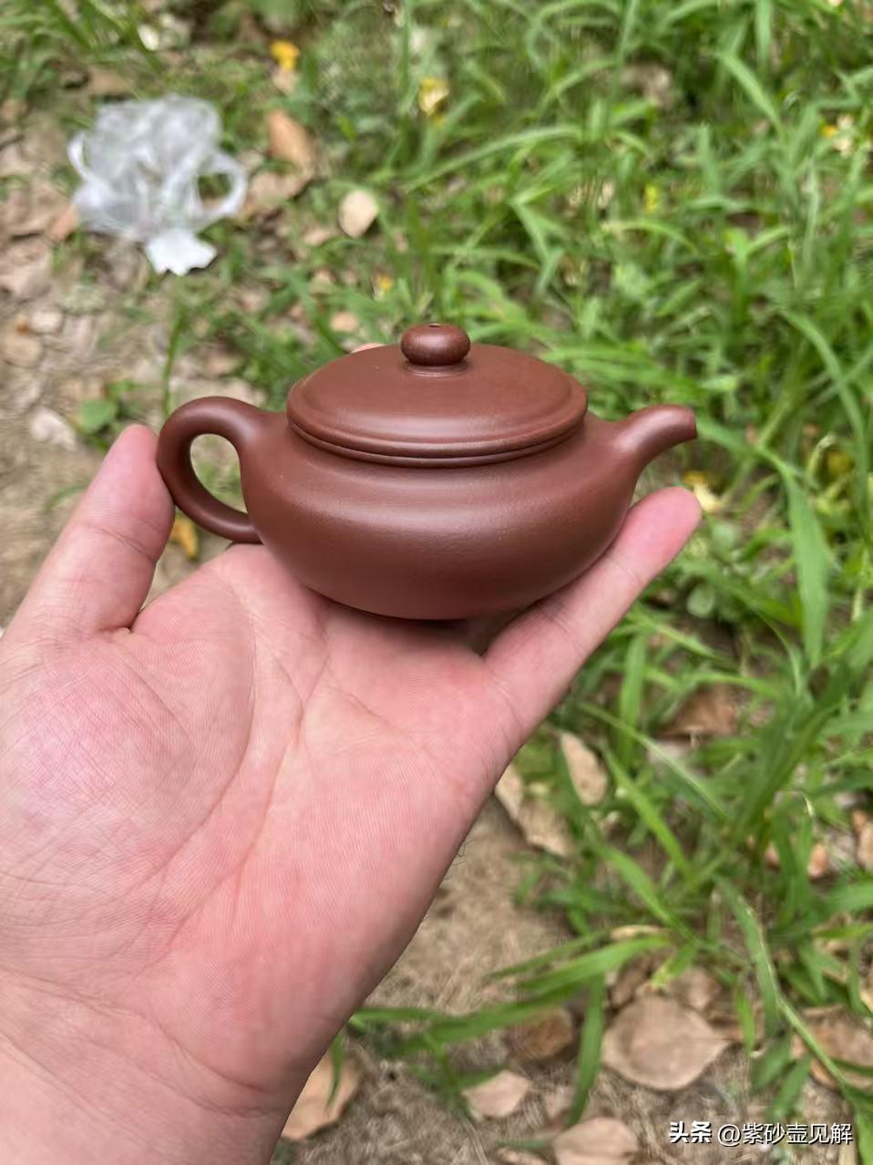 扁腹壶身宽阔舒展，茶叶在壶中自在游走，尽情释放本味；紫泥双气孔结构温和透气，能吸