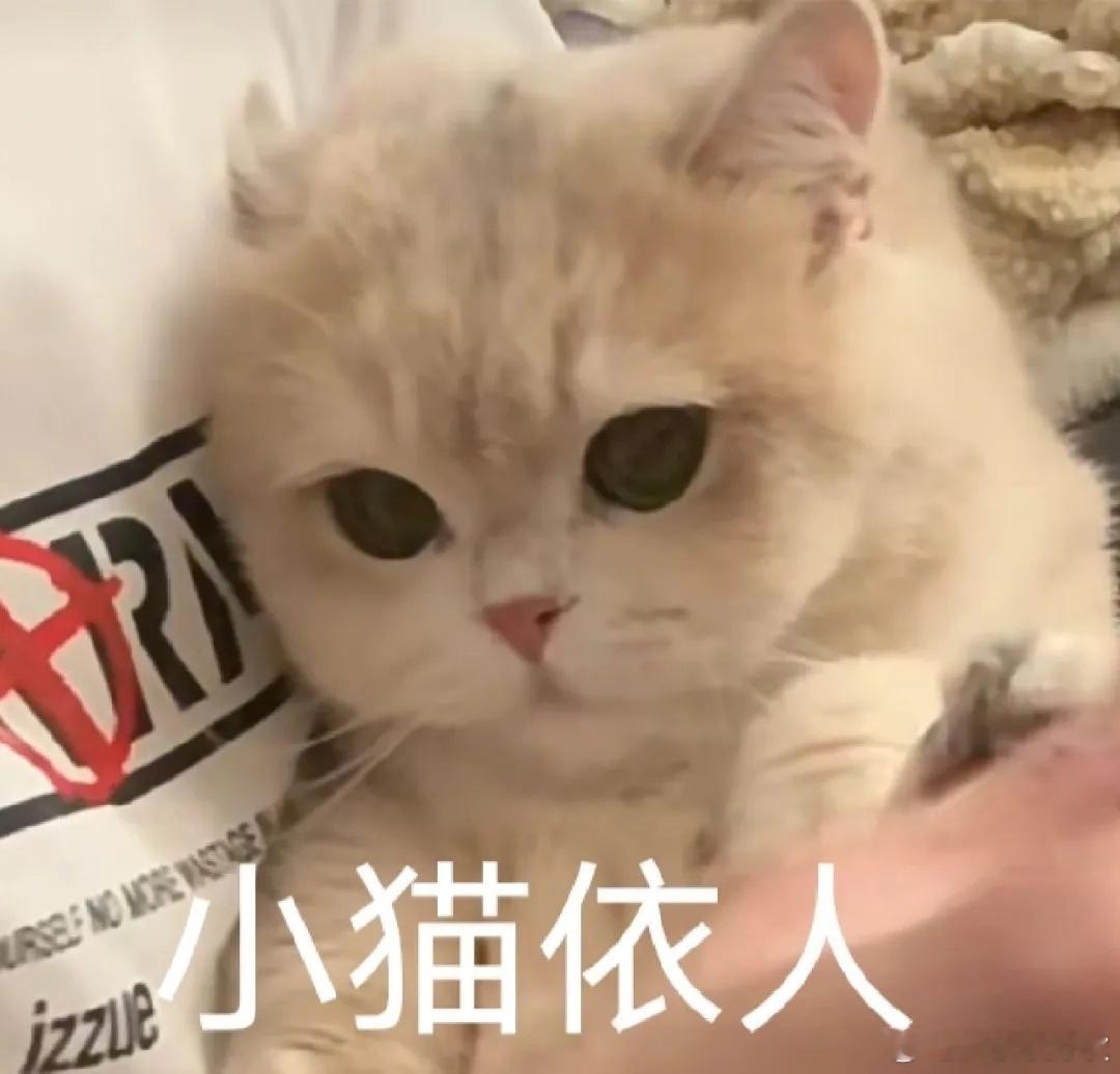 大吉胡咧咧 挟恩不图报87枣康先前一直以为段守甘说的采风是去个什么风景名胜爬爬山