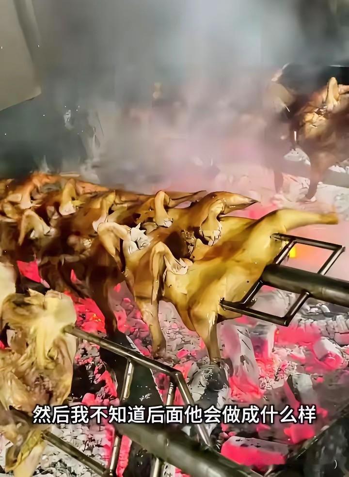 烤鸡少年的扩店计划终止了
把路边摊做成夜市“网红烤鸡”的小宇，刚要扩店就被人“踩