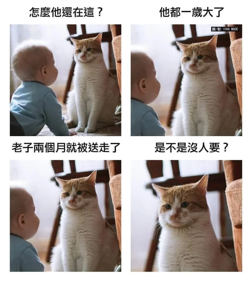 你是不是没人要？